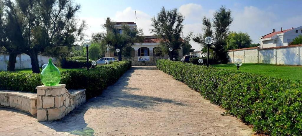 توري آه ماري San Domenico Bed And Breakfast المظهر الخارجي الصورة